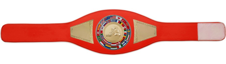 JIU JITSU CHAMPIONSHIP BELT-PROFLAG2/FLAG/G/JJG - VARIETY OF LEATHER COLOURS AVAILABLE JIU JITSU CHAMPIONSHIP BELT-PROFLAG2/FLAG/G/JJG - VARIETY OF LEATHER COLOURS AVAILABLE